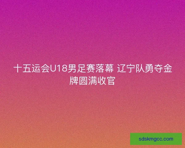 十五运会U18男足赛落幕 辽宁队勇夺金牌圆满收官